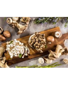 Buy Real Mushrooms Powders Online